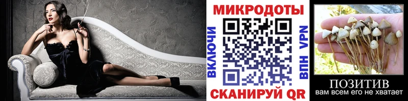 Псилоцибиновые грибы Psilocybine cubensis  Снежногорск 